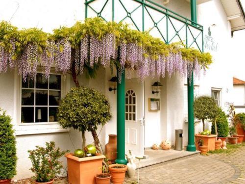 Hotel Sterkel Рёдермарк Экстерьер фото